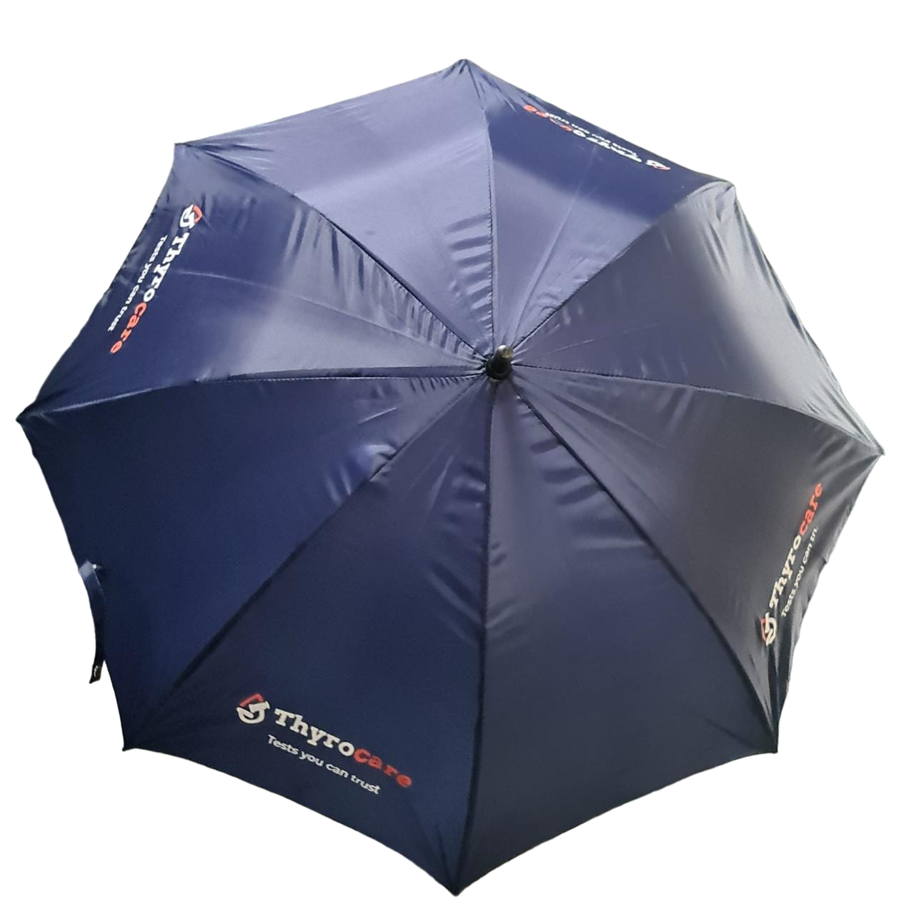 Umbrella
