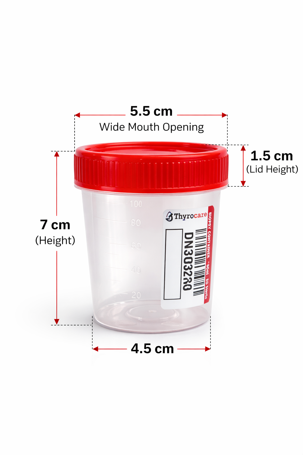 Measurement chart of a plastic container with a red lid on a white background