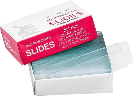 Glass Slides