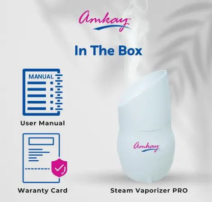 Vaporizer